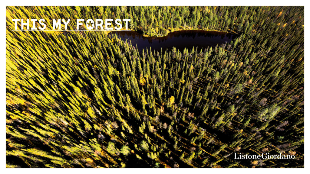 Ekologiczne lasy Fonatines we Francji